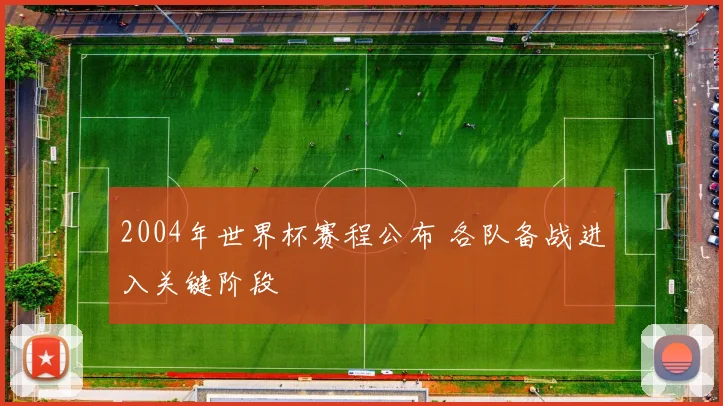 2004年世界杯赛程公布 各队备战进入关键阶段