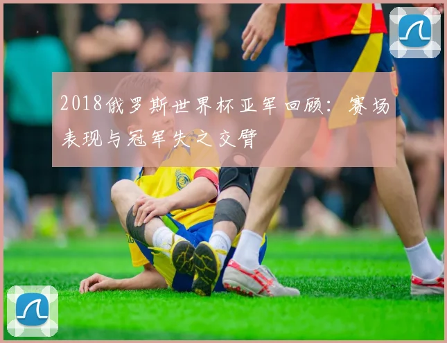 2018俄罗斯世界杯亚军回顾：赛场表现与冠军失之交臂